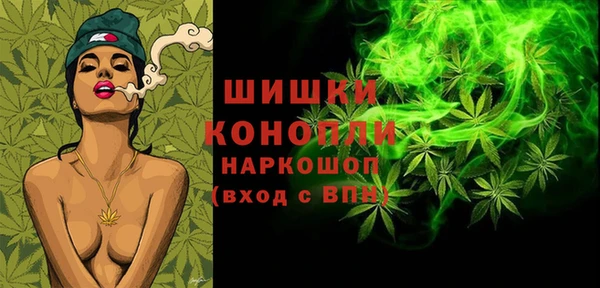 сатива Армянск