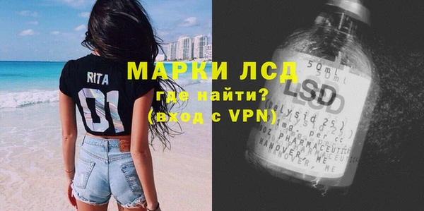 сатива Армянск